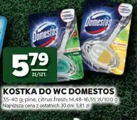 Stokrotka Kostka do WC Domestos oferta