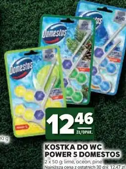Stokrotka Kostka do WC Power 5 Domestos oferta