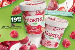 Stokrotka Lody Willisch Hortex oferta