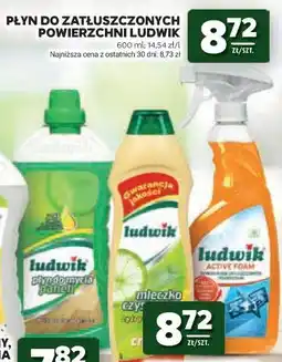 Stokrotka Płyn do zatłuszczonych powierzchni Ludwik oferta