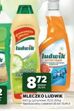 Stokrotka Mleczko Ludwik oferta