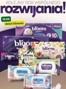 Stokrotka Produkty marki Bloom oferta