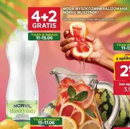 Stokrotka Norvil Muszyński Woda wysokozmineralizowana oferta