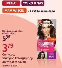 Rossmann Cameleo, szampon koloryzujący do włosów oferta
