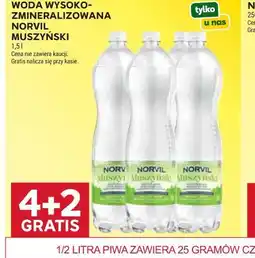 Stokrotka Woda wysokozmineralizowana Norvil Muszyński oferta