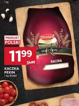 Stokrotka KACZKA PEKIN oferta