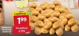 Stokrotka ZIEMNIAKI WCZESNE JADALNE oferta