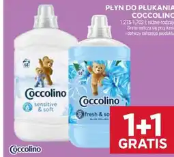 Stokrotka Płyn do płukania Coccolino oferta