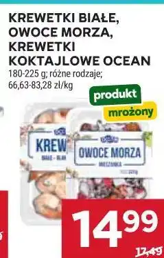 Stokrotka Krewetki białe, owoce morza, krewetki koktajlowe Ocean oferta