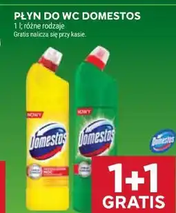 Stokrotka Płyn do WC Domestos oferta