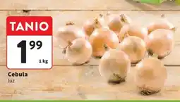 Intermarche Cebula luz oferta