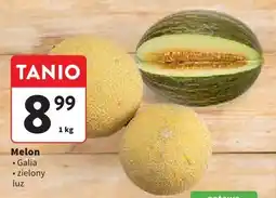 Intermarche Melon Galia / zielony luz oferta