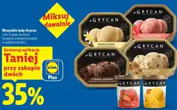 Lidl Wszystkie lody Grycan oferta