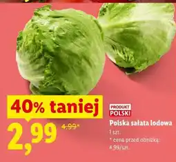 Lidl Polska sałata lodowa oferta