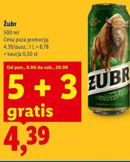 Lidl Żubr oferta