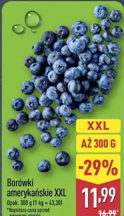 ALDI Borówki amerykańskie XXL oferta