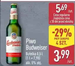 ALDI Piwo Budweiser oferta
