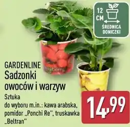 ALDI GARDENLINE Sadzonki owoców i warzyw oferta
