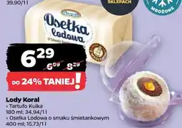 Netto Lody Koral oferta