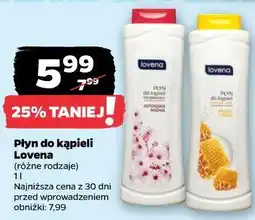 Netto Płyn do kąpieli Lovena oferta