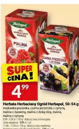 Twój Market Herbata Herbaciany Ogród Herbapol oferta
