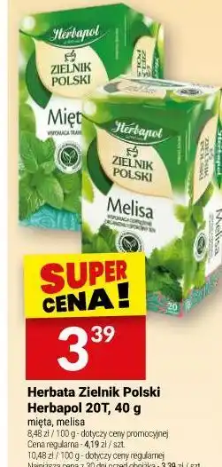Twój Market Herbata Zielnik Polski Herbapol 20T oferta
