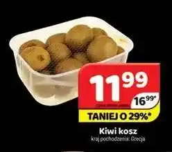Delfin Kiwi kosz oferta