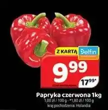 Delfin Papryka czerwona oferta