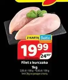 Delfin Filet z kurczaka oferta