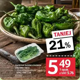 Selgros Papryka słodka padron zielona oferta