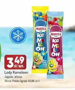 Avita Lody Kameleon Wiśnia oferta