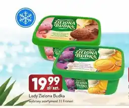 Avita Lody Zielona Budka oferta