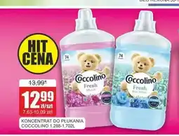 Bingo Koncentrat do płukania Coccolino Fresh Silk Lily oferta