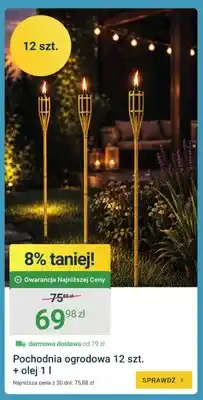 ERLI Pochodnia ogrodowa 12-pak + olej 1 l oferta