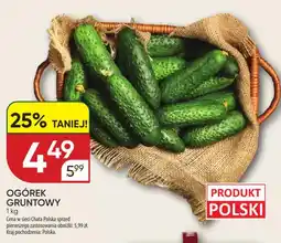 Chata Polska Ogórek gruntowy oferta