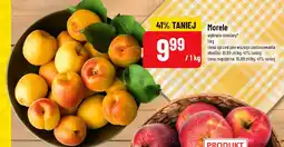 Polomarket Morele oferta