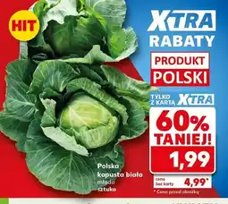 Kaufland Kapusta biała młoda oferta