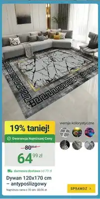 ERLI Dywan antypoślizgowy 120x170 cm oferta