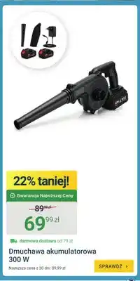 ERLI Dmuchawa akumulatorowa 300W oferta