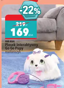 Biedronka Fur Real Piesek interaktywny Go Go Pupy maltańczyk oferta