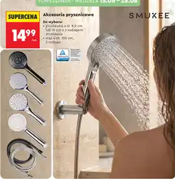 Biedronka Akcesoria prysznicowe oferta