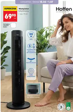 Biedronka Wentylator kolumnowy Hoffen oferta
