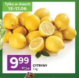 Stokrotka Cytryny oferta