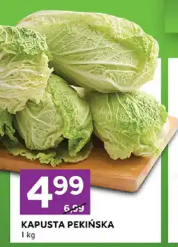 Stokrotka Kapusta pekińska oferta
