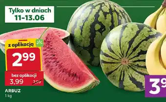 Stokrotka Arbuz oferta