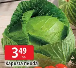 E.Leclerc Kapusta młoda oferta