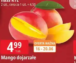 E.Leclerc Mango dojrzałe oferta