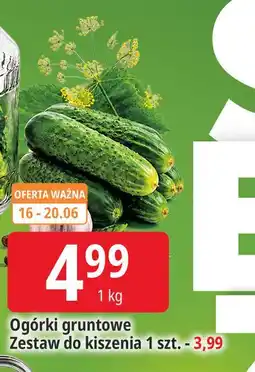 E.Leclerc Ogórki gruntowe oferta