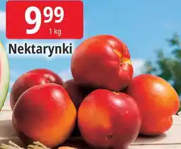 E.Leclerc Nektarynki oferta