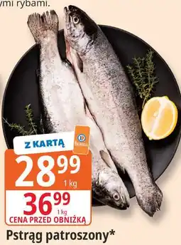 E.Leclerc Pstrąg patroszony oferta